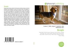 Beagle kitap kapağı