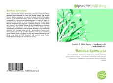 Bookcover of Banksia Spinulosa