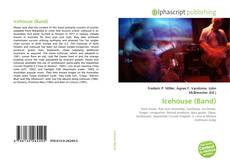 Portada del libro de Icehouse (Band)