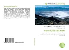 Copertina di Bonneville Salt Flats