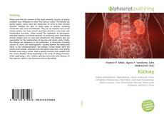 Buchcover von Kidney