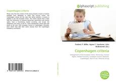 Bookcover of Copenhagen criteria