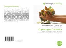 Capa do livro de Copenhagen Consensus 