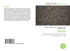Capa do livro de Biochar 