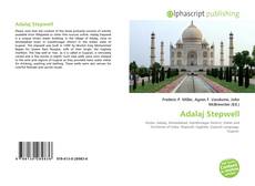 Couverture de Adalaj Stepwell