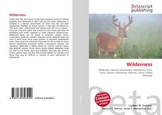 Capa do livro de Wilderness 