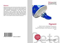 Pigment的封面