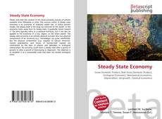 Steady State Economy的封面
