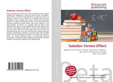 Bookcover of Sokolov–Ternov Effect