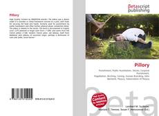 Couverture de Pillory