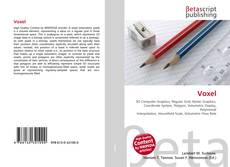 Обложка Voxel