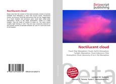 Buchcover von Noctilucent cloud