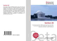 Section 28 kitap kapağı