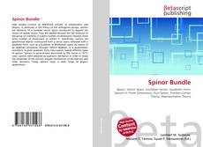 Copertina di Spinor Bundle
