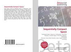 Buchcover von Sequentially Compact Space