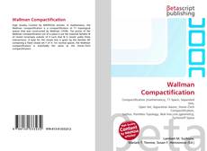 Wallman Compactification kitap kapağı