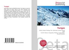 Couverture de Yungas