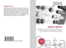 Couverture de Napier's Bones
