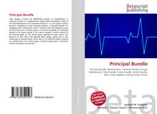 Capa do livro de Principal Bundle 