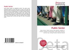 Capa do livro de Public Sector 