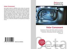 Couverture de Velar Consonant