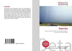 Buchcover von Ndamba