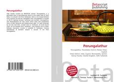 Обложка Perungalathur