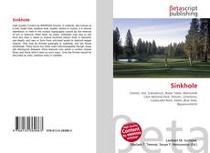 Buchcover von Sinkhole
