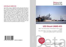 Copertina di USS Brant (AMS-43)