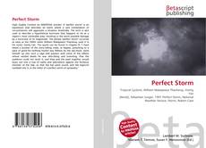 Обложка Perfect Storm