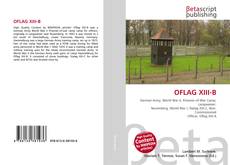 Portada del libro de OFLAG XIII-B