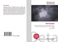 Couverture de Nor'easter