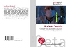 Couverture de Norberto Ceresole