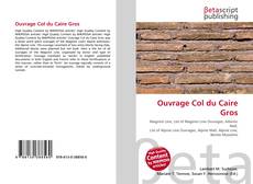 Copertina di Ouvrage Col du Caire Gros