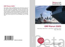 Borítókép a  ORP Piorun (G65) - hoz