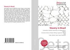 Capa do livro de Slavery in Brazil 