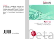 Copertina di Tortoise