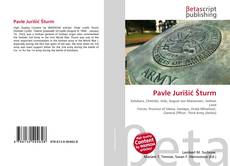 Buchcover von Pavle Jurišić Šturm
