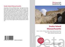 Couverture de Snake Island Massachusetts