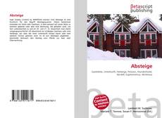 Buchcover von Absteige