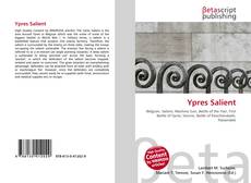 Copertina di Ypres Salient