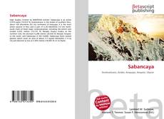 Capa do livro de Sabancaya 