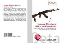 Copertina di Summer Offensive of 1947 in Northeast China