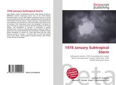 Bookcover of 1978 January Subtropical Storm