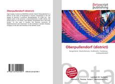 Buchcover von Oberpullendorf (district)