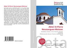 Copertina di Abtei St-Pierre Neussargues-Moissac