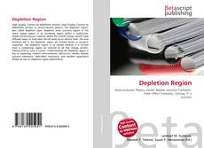 Depletion Region的封面
