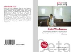 Copertina di Abtei Waldsassen