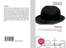 Couverture de Stetson