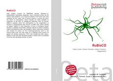 Capa do livro de RuBisCO 